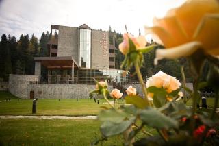 Lux Garden Hotel - Azuga - 6