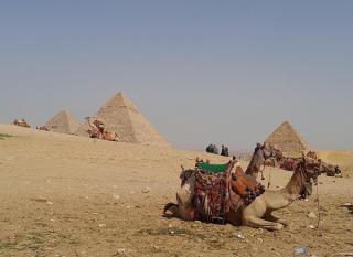 The pyramids zone inn - 4