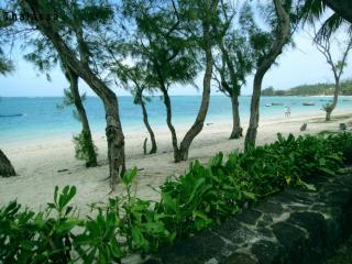 11 residence thalassa - 5