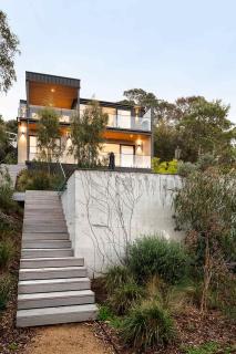 Banksia - 0
