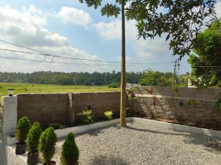 Paddy's Abode - 3