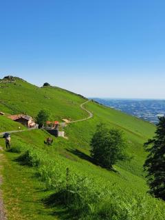 Appartement Entre terre et mer 4 personnes - 1