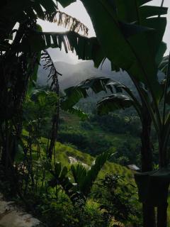 Heeloya mount view garden - 5