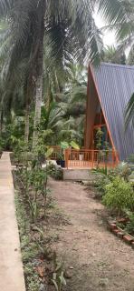Homestay and Tour Ben Tre - 2