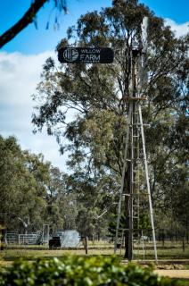 Willow Lodge - 5