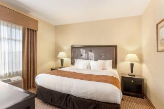 Comfort Suites Moses Lake - 8