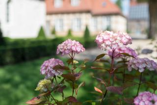Schloss Beuchow - Lübbenau - 7