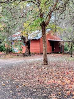 Stargazers Forest Hideaway - 1