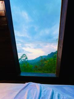 Araliya Garden Nest - 1