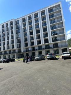 Alvina Complex Caxkadzor Apt 71 - 8