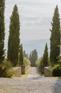 Restored Farmhouse In The Arezzo Hills - 8