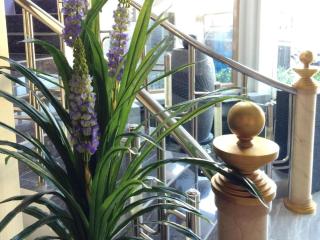 Hotel D' CaLia Tarakan - 1