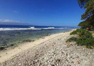 Alaroots Temae Surf Moorea - 3