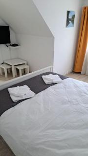 Casa Aris Lepsa Vrancea - 7