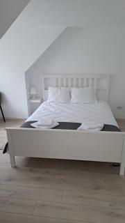 Casa Aris Lepsa Vrancea - 9