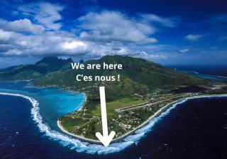 Alaroots Temae Surf Moorea - 7