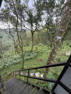 Mount Haze Resort - 4