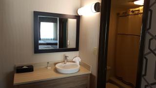 AArtpark Hotel Inn at Lewsiton - 8