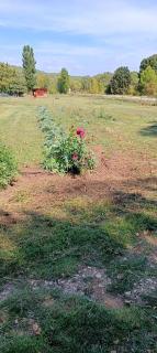 Les Jardins de Castelange - 1