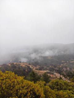 La PenAlta - Allotjament enoturístic - Vilanova de Prades - 9