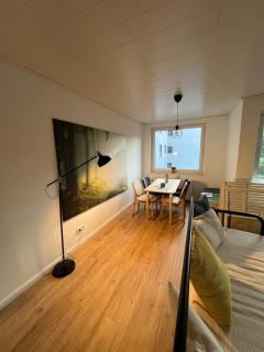 4 rooms Apartment with Lakeview, near VW & PowerCo &peaceful - 3