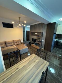 daily rent apartment - 4