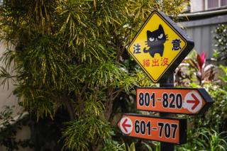 Jungle City Motel - 7