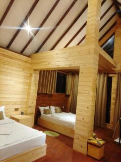 The Palace Eco Cottage - 1