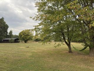 Gemütliche Unterkünfte auf dem Reiterhof in Eschede - 4