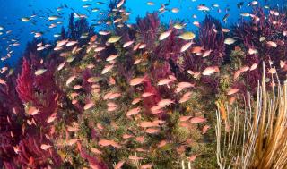 Nostos B&B - Back to the Sea - 9