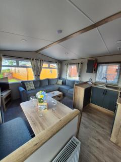 Luxury Lodge Escape - West Down - 6