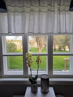 Newly renovated, well-equipped, in the heart of nature - 4