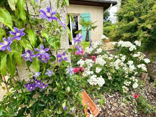 T3 cosy Piscine, Spa, Parking - 6