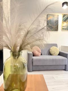 Zabrsaint Grand Apartament z 3 Sypialniami w Sercu Katowic - 4