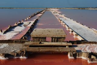 Vagues et Vignes Gruissan Corbières - 7