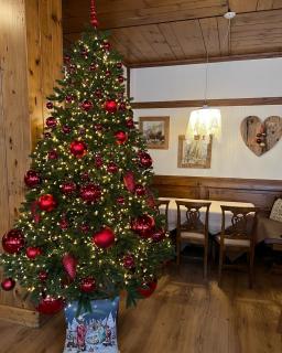Suite in Hotel Cristallino - 1