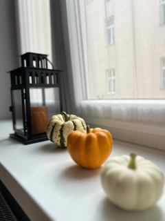 Topolova Apartament - Stare Miasto, 10 min od Rynku - 8