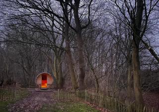 Reetdachkate Fuchsgraben - 7