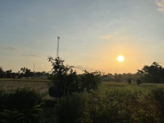 Golden Mango Farmstay - 0