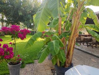 4 Seasons Suites Paradise Athens Airport - 2