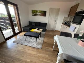 Duplex Apartman Marina Zlatibor - 3