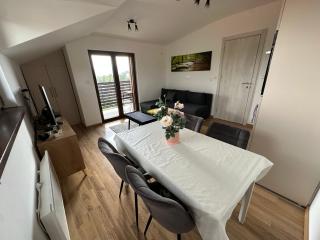 Duplex Apartman Marina Zlatibor - 1