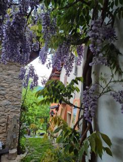 Casa S Antonio Aradolo - 8