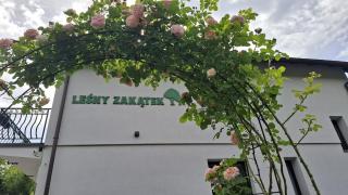 Leśny Zakątek - 0