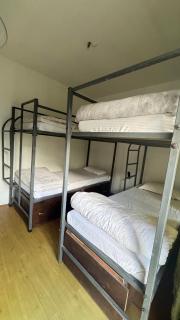 Pokhara Wanderer Hostel - 1