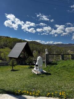 Camping, Picnic Merișor Bănița Hunedoara - 8