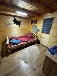 Camping, Picnic Merișor Bănița Hunedoara - 1