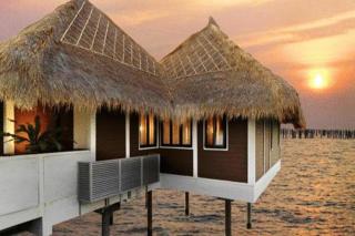 3Bed Room Palm Tree Water Villa 111 Holidays - 4