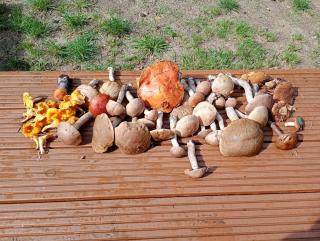 Siedlisko Radogoszcz, jacuzzi ,sauna - 1