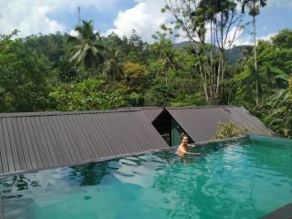 Sinharaja Forest Sanctuary - 6